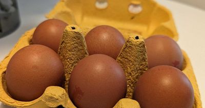 Allergy sufferers could be able to eat eggs safely thanks to genetic modification