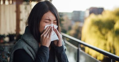 Top tips for hayfever sufferers as pollen levels rise across Ireland