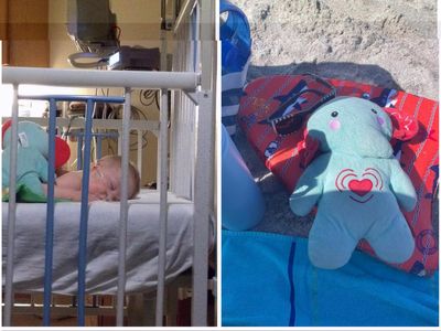Mother pleads for help in finding stuffed animal containing late son’s ashes