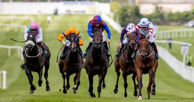 Stake being sold in Irish Royal Ascot hope Thunderbear