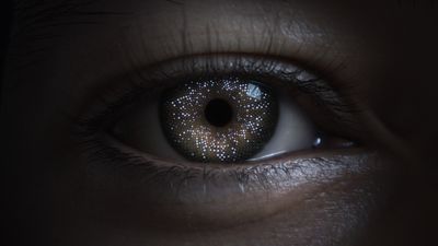 If Apple Vision Pro is the answer, what's the question?