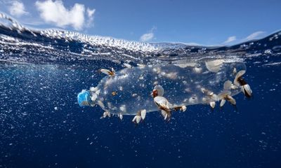 First steps agreed on plastics treaty after breakthrough at Paris talks