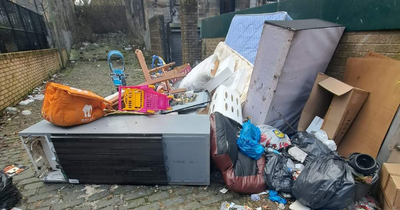 Glasgow fly-tipping hotspot to get gates after being infested with maggots and rats