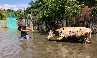 Devastation from Kakhovka dam collapse could take decades to heal