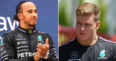 Mick Schumacher's "enormously important" role to help Lewis Hamilton and Mercedes