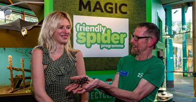 Lessons in handling a TARANTULA can help you overcome crippling fear of spiders