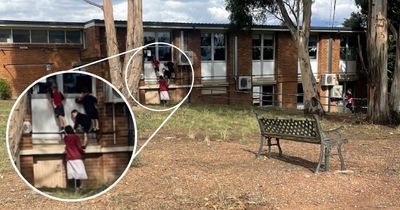 Queanbeyan after school care provider investigated over safety concerns