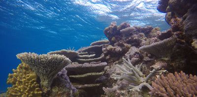 Warm is the new norm for the Great Barrier Reef – and a likely El Niño raises red flags