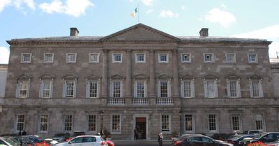 Teen who allegedly broke into Leinster House suspected of carrying out three break-ins in month long spree