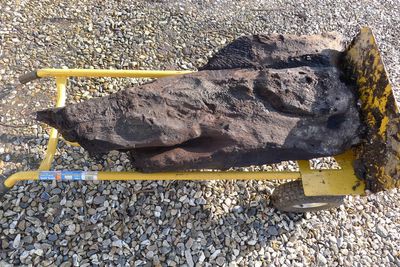 Timber discovered by chance in Britain believed to be more than 6,000 years old carved wood
