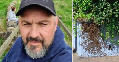 Scots village under attack by thousands of bees as locals 'flee for lives'