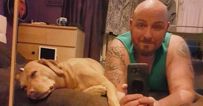 Dad and dog diagnosed with kidney cancer at same time, Bella has months to live
