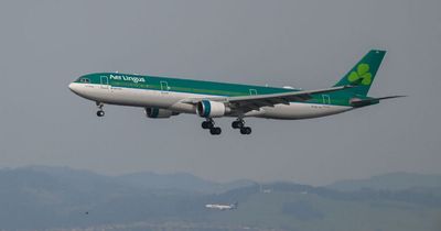Thousands of Aer Lingus staff data stolen in ransomware attack