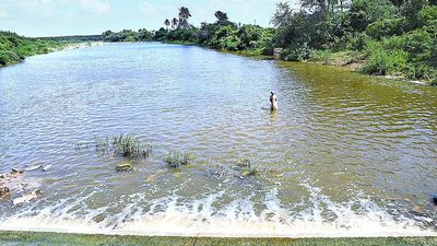 NGT slams T.N. State Coastal Zone Management Authority, orders resurvey of Kosasthalaiyar river based on 1996 plan