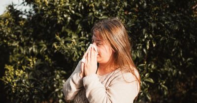 Hay fever sufferers praise 'miracle cure' £4 tablet as symptoms disappear