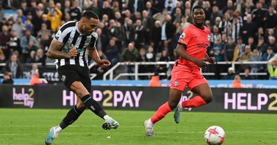 Callum Wilson's importance to Newcastle United underlined - and potential Maddison influence