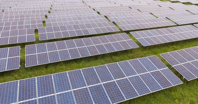 Swansea Council's first ever solar farm gets the green light