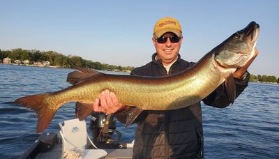 Same muskie caught three times in less than three weeks