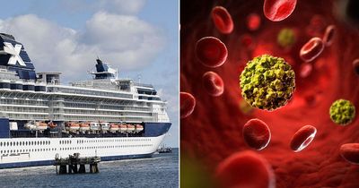 Outbreak on board Celebrity Cruises ship leaves more than 175 ill as specimens sent for testing