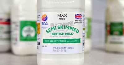 M&S ditches use-by dates on milk - with shoppers told to SNIFF it instead