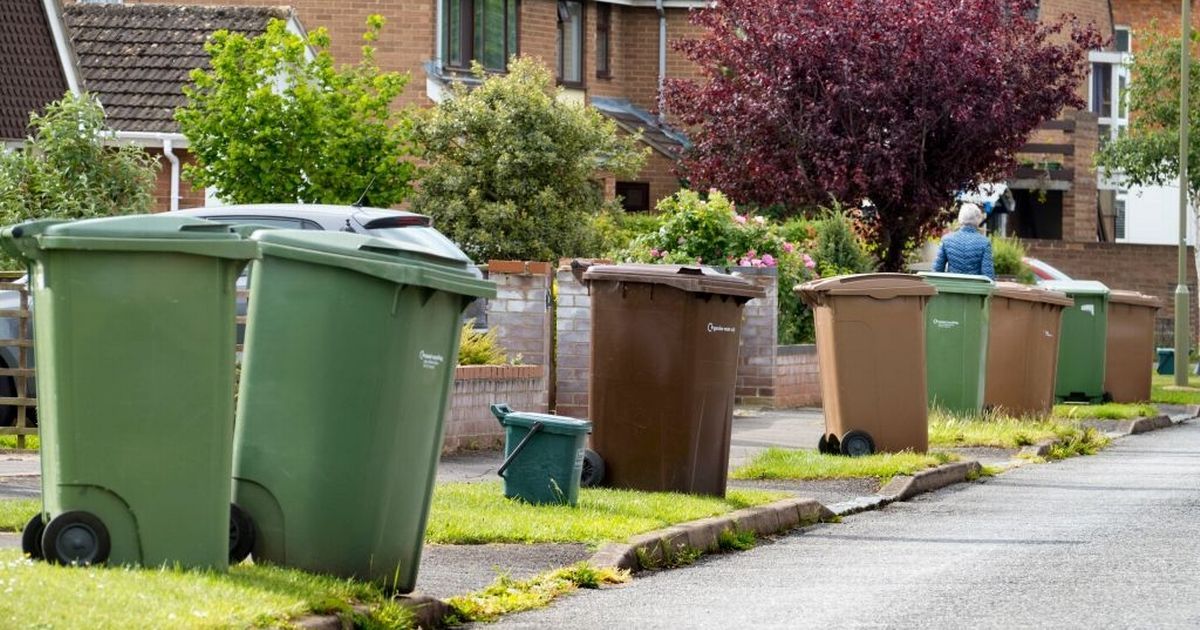 'My neighbours keep using my bins without permission