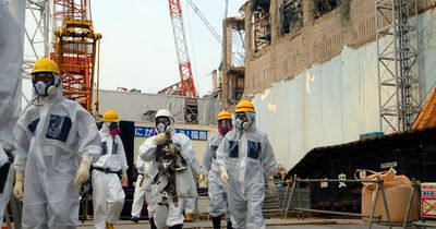 How many people died in the Fukushima nuclear disaster and Tohoku earthquake?