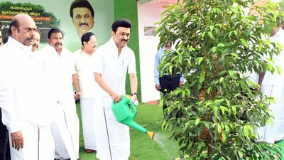 Stalin launches mass tree planting drive