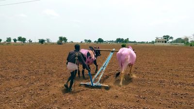 Raichur district sets 5.41 lakh hectares sowing target