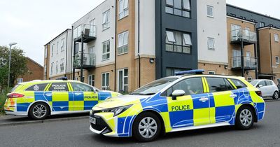 Victim in hospital after broad daylight stabbing in Kenton