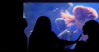 Screaming parents demand refund after fight breaks out at Little Mermaid showing
