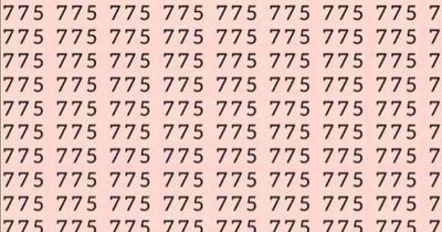 Only people with eyes like a hawk can spot the number 725 among the 775s in seven seconds