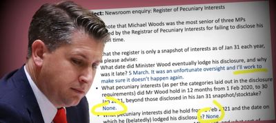 Michael Wood denied any other pecuniary interests, in email to Newsroom