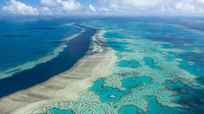 Sea change at last for world's fragile oceans in need of rescue