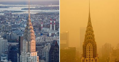 New York City still under 'toxic smog' from wildfire smoke as air pollution hits record