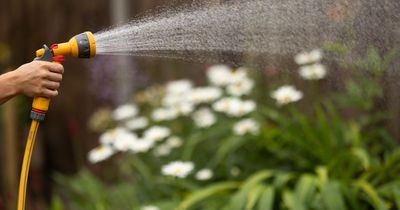 Warning over 'deadly' health condition that thrives in garden equipment and hot tubs