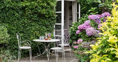 'Quick fix' plant gives garden shade in the heat and extra privacy, expert says