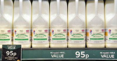 Marks and Spencer ditches expiry dates on milk as customers are told to sniff it instead