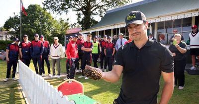 Swarm of 20,000 angry bees stops top-level cricket game in Cork as beekeeper called to save the day