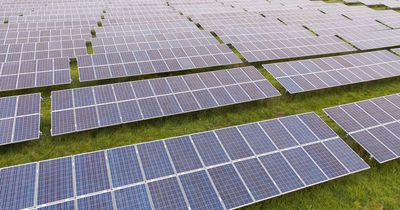 Swansea Council approves its first ever solar farm project