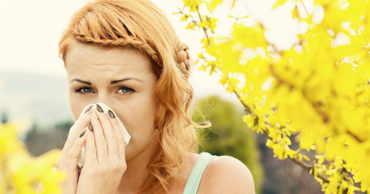 £4 hay fever 'cure' makes you 'feel like you've never…