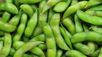 How to grow soybeans – discover the benefits of growing these high-protein legumes