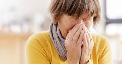 Expert lists little-known hay fever symptoms as grass 'pollen bomb' approaches