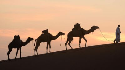 Sci-Five | The Hindu Science quiz: On climatic zones