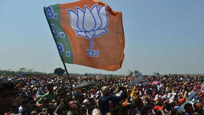 BJP looks to stitch together new alliances ahead of Lok Sabha polls
