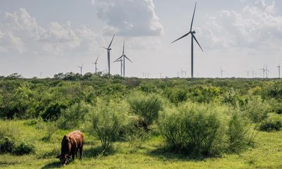 Alarm at rightwing push to reverse clean-energy success in Texas and beyond