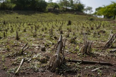 It's official: El Nino has arrived