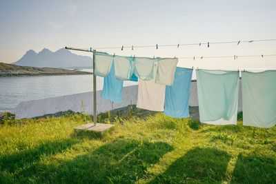 Best washing powder brands tried and tested: Top detergents to get laundry gleaming