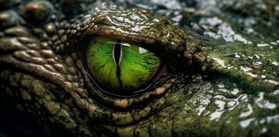 Crocodile's 'virgin birth' is a first for science's history books