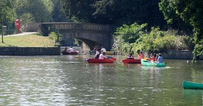 'Pollen bomb' Nottinghamshire heatwave warning with the Midlands worst affected