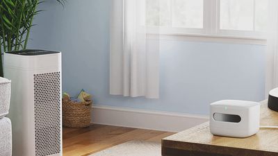 This Amazon Gadget Lets You Measure the Air Quality in Your Home—and It’s on Sale